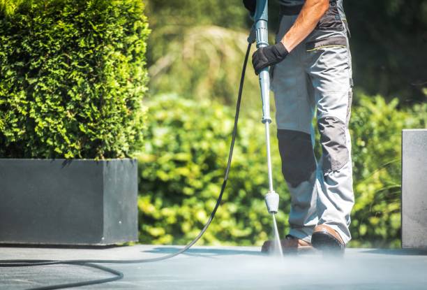Best Gutter Cleaning  in Avalon, PA