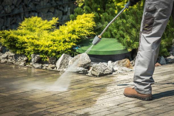 Best Boat and Dock Cleaning  in Avalon, PA