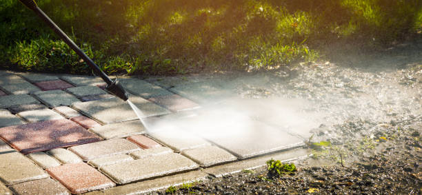 Best Fence Cleaning  in Avalon, PA